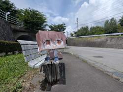 275474 B