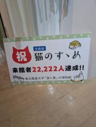 127235 B
