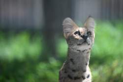 170358 B
