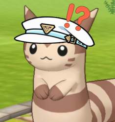 1137803 B