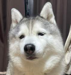 169565 B