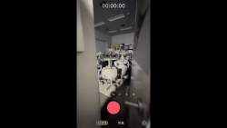 4311054 B