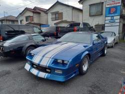 278393 B