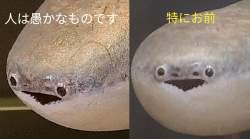 120630 B