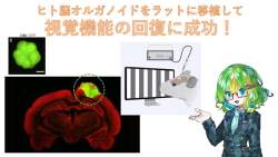 79831 B