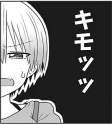 23584 B