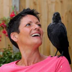 105326 B