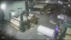 4025607 B