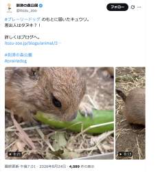 1315657 B