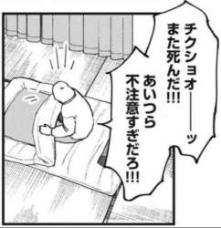 84225 B