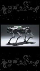 3212050 B