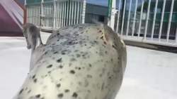 1218773 B