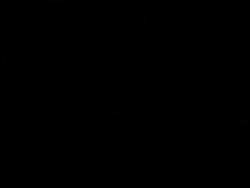 5341827 B