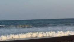 7935297 B