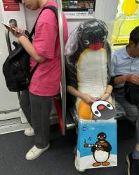 236291 B