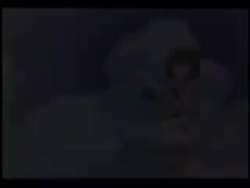822604 B