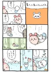 46174 B