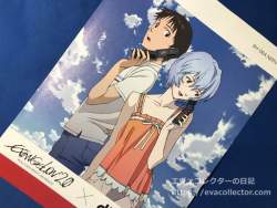 45313 B