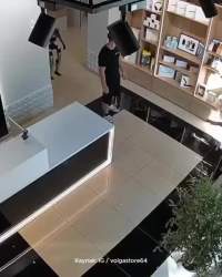1533481 B