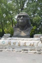 101581 B