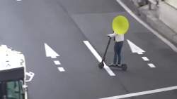 4459499 B