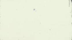 3729378 B
