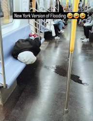 2044907 B