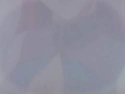 7877950 B