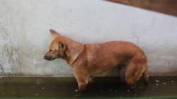 1490472 B