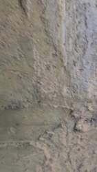2585393 B