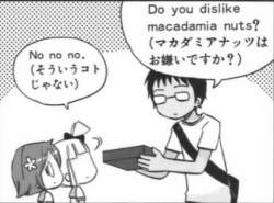 41568 B