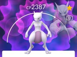 223763 B