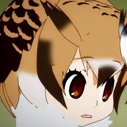 154567 B