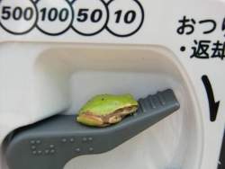 31233 B