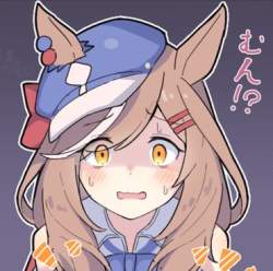 241113 B