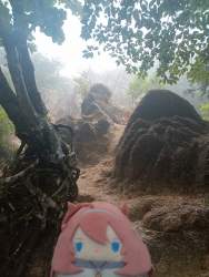 4476350 B