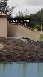 752781 B