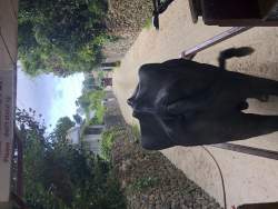 2540003 B
