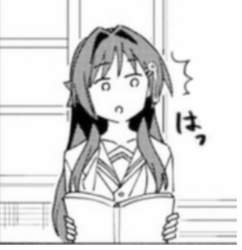 85916 B