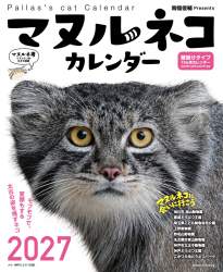 265555 B