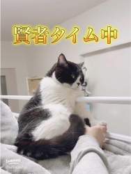 87942 B