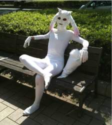53651 B