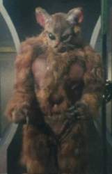 28164 B
