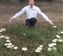 130300 B