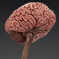 23634 B