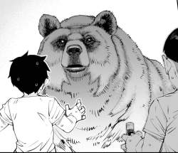 84208 B