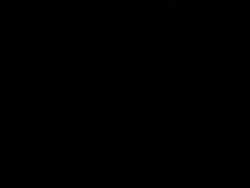 5029124 B