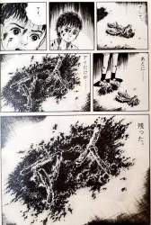 117040 B