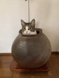 152009 B