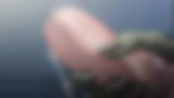 1625954 B